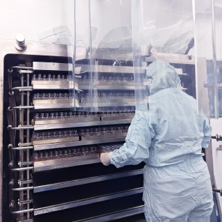 Preguntas Frecuentes